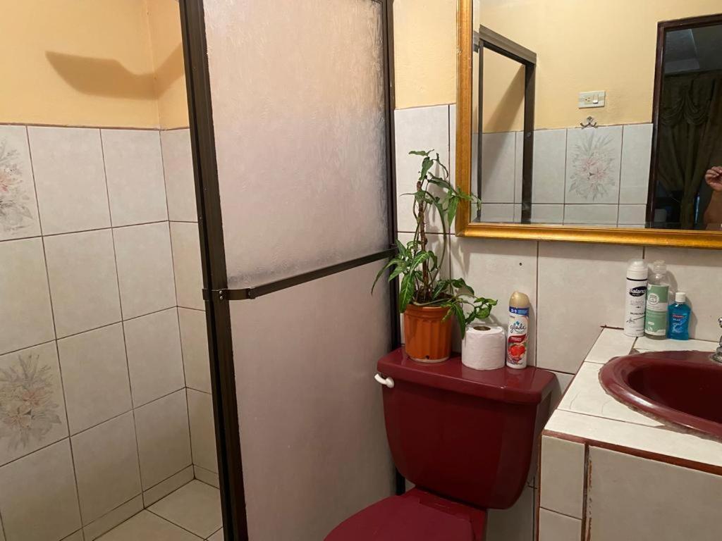 Casa Lupita Alajuela Apartman Kültér fotó
